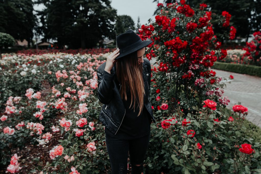 Garden roses